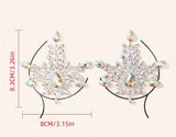 Aurora Crystal Burst Nipple Covers (B)